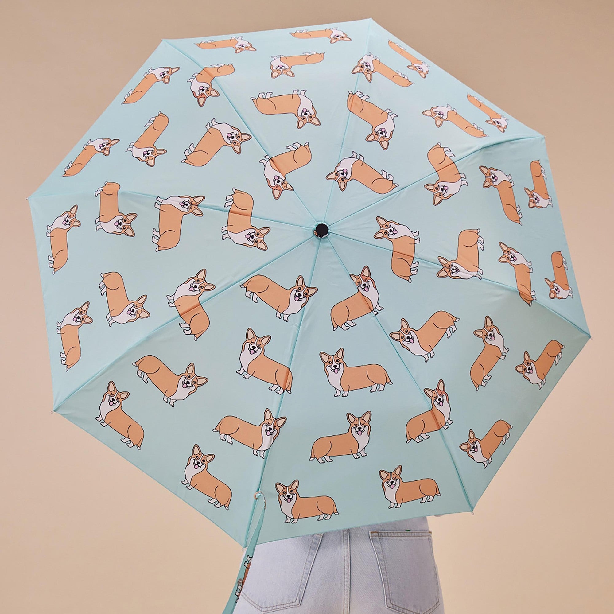 ORIGINAL DUCKHEAD - COMPACT UMBRELLA |  COUCOU SUZETTE CORGI MINT