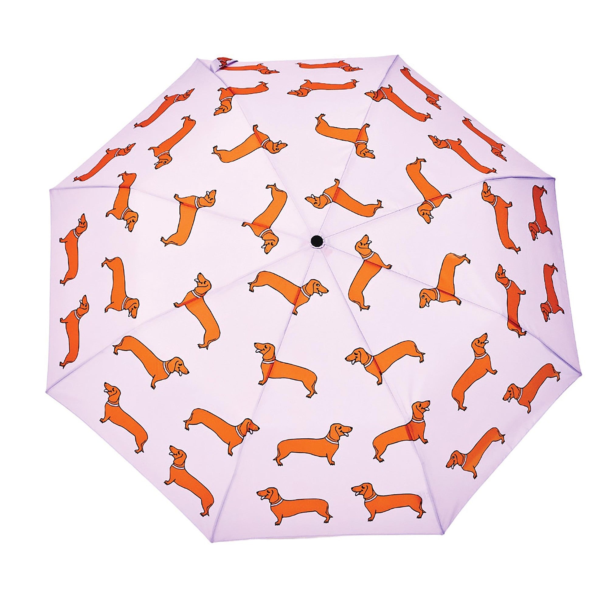 ORIGINAL DUCKHEAD - COMPACT UMBRELLA |  COUCOU SUZETTE DACHSHUND PURPLE