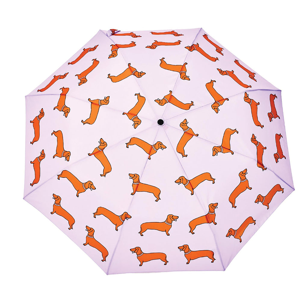 ORIGINAL DUCKHEAD - COMPACT UMBRELLA |  COUCOU SUZETTE DACHSHUND PURPLE