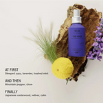 AKT - THE HAZE DEODORISING BODY MIST | SC.03 THE ONSEN