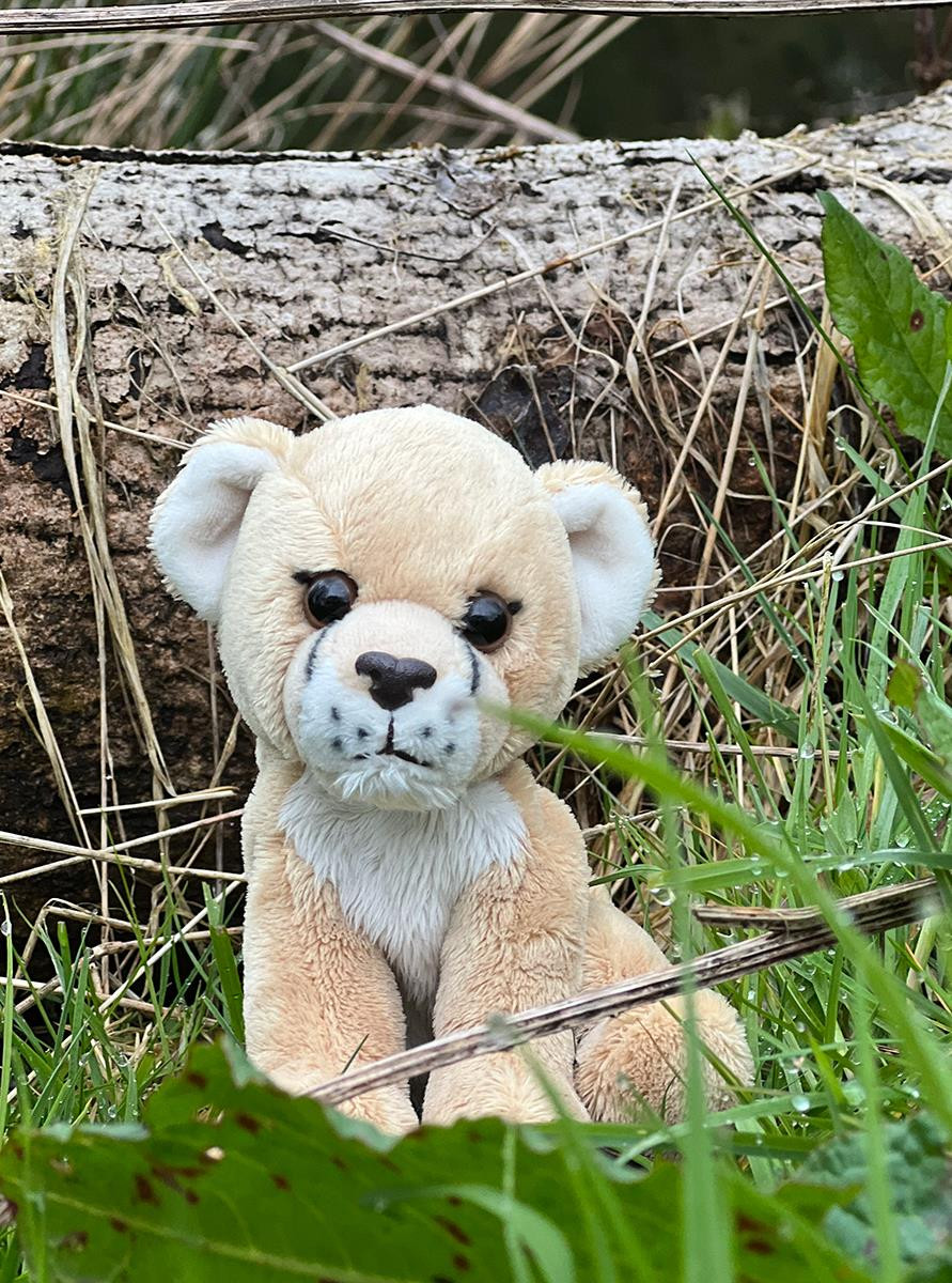 CHARLIE BEARS - CUDDLE CUB LIONESS