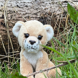 CHARLIE BEARS - CUDDLE CUB LIONESS