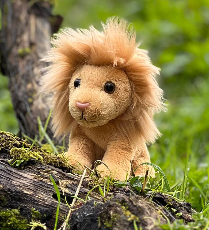 CHARLIE BEARS - CUDDLE CUB LION