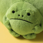 JELLYCAT - RICKY RAIN FROG POUCH