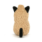 JELLYCAT - AMUSEABLES PEANUT CAT OUTFIT