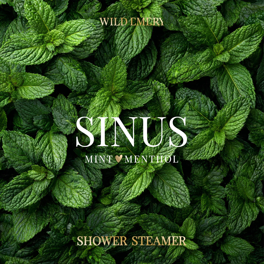 WILD EMERY - SHOWER STEAMER | SINUS