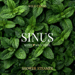 WILD EMERY - SHOWER STEAMER | SINUS