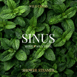 WILD EMERY - SHOWER STEAMER | SINUS