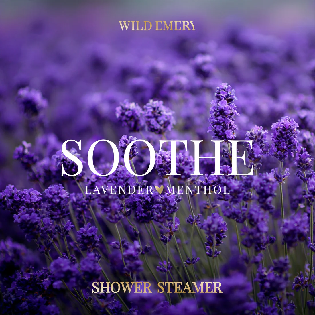 WILD EMERY - SHOWER STEAMER | SOOTHE
