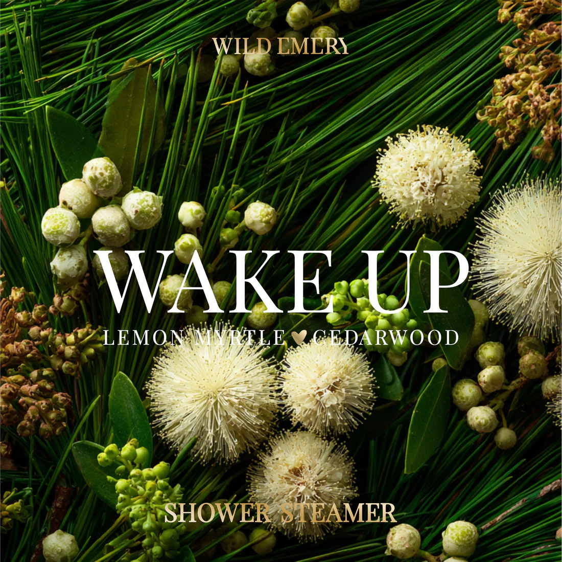 WILD EMERY - SHOWER STEAMER | WAKE UP