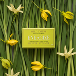 WILD EMERY - SHOWER STEAMER | ENERGIZE