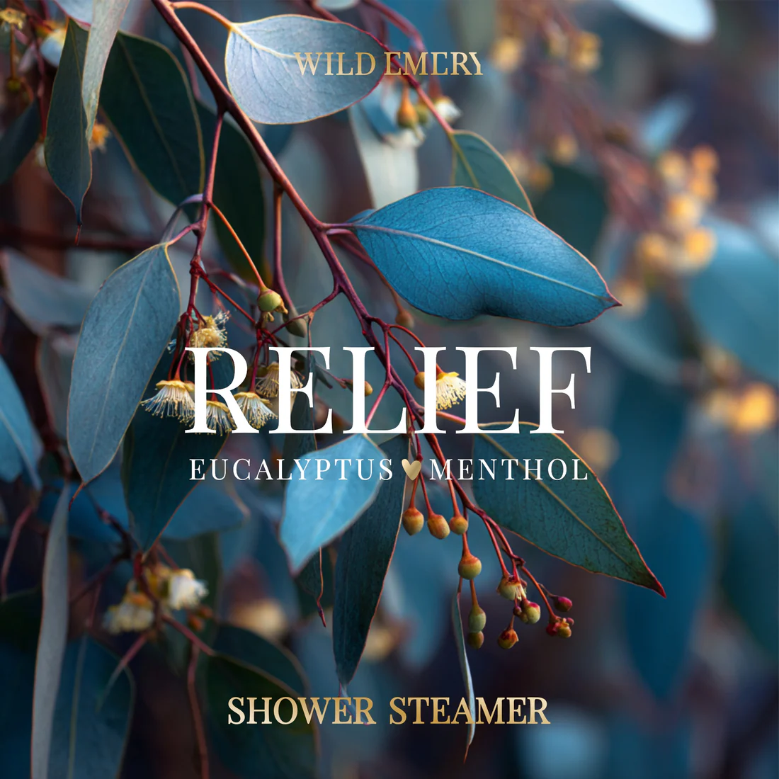 WILD EMERY - SHOWER STEAMER | RELIEF