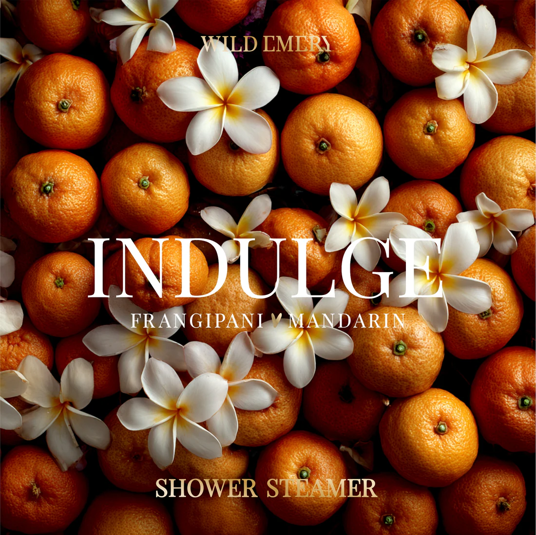 WILD EMERY - SHOWER STEAMER | INDULDGE