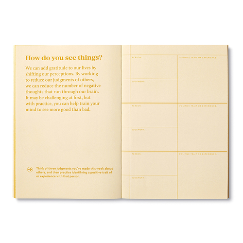 COMPENDIUM - TRUE SERIES | GRATITUDE