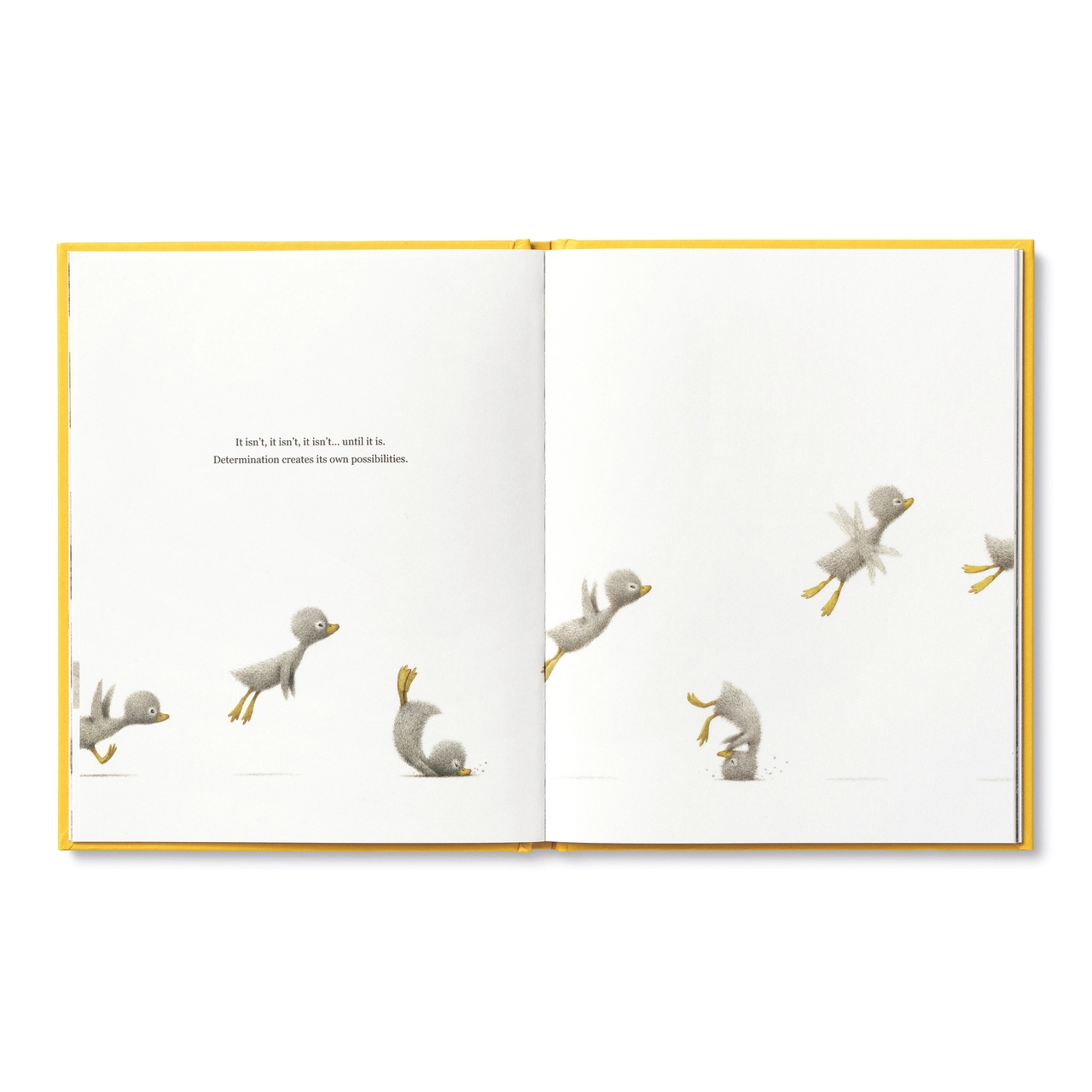 COMPENDIUM - FINDING MUCHNESS