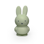 MIFFY - EUCALYPTUS MONEY BOX | 13.5 CM