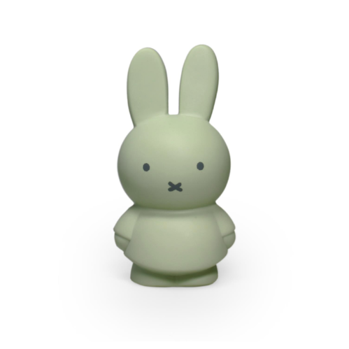 MIFFY - EUCALYPTUS MONEY BOX | 13.5 CM