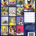 AUSTRALIAN TRADIE CALENDAR - RESCUE PUPPY EDITION