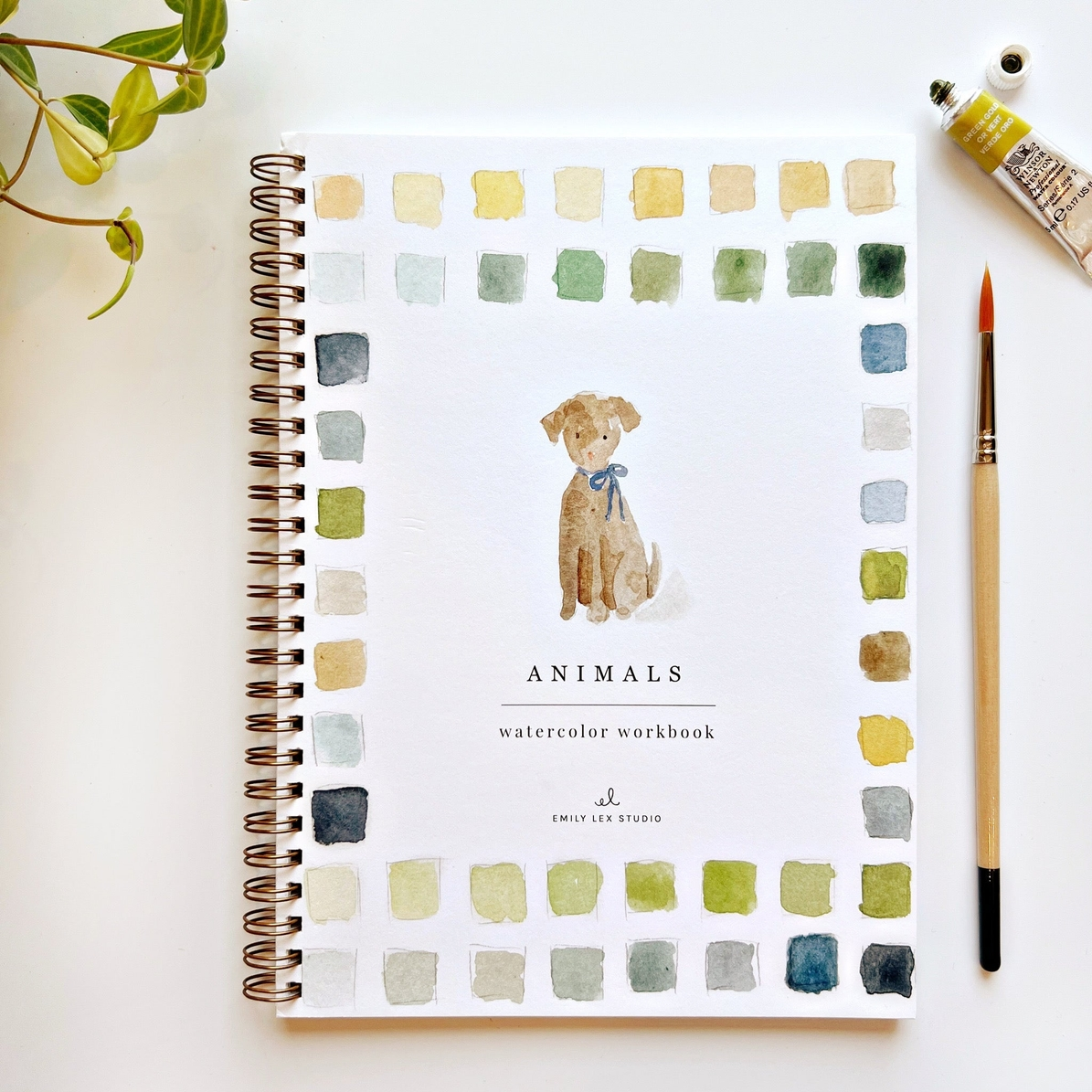 EMILY LEX STUDIO - WATERCOLOUR WORKBOOK | ANIMALS