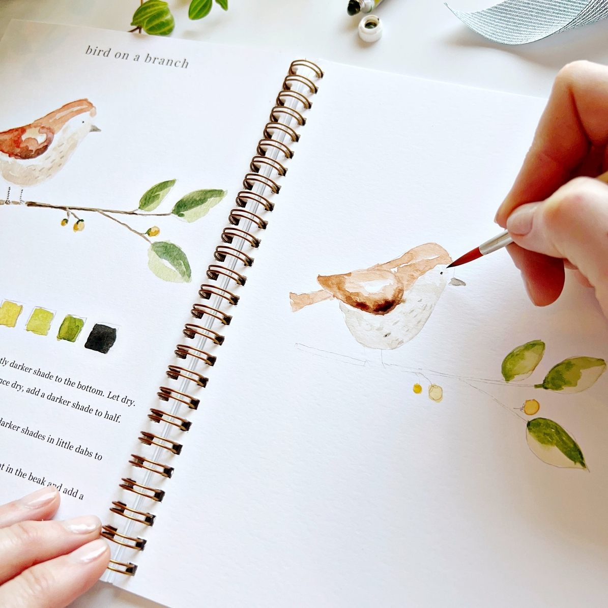 EMILY LEX STUDIO - WATERCOLOUR WORKBOOK | ANIMALS