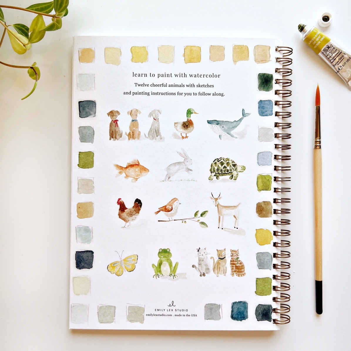 EMILY LEX STUDIO - WATERCOLOUR WORKBOOK | ANIMALS
