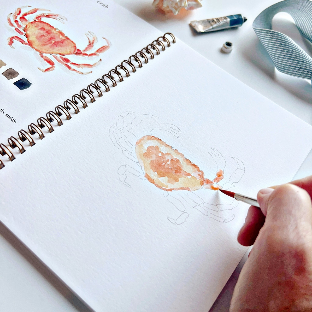EMILY LEX STUDIO - WATERCOLOUR WORKBOOK | SEASIDE
