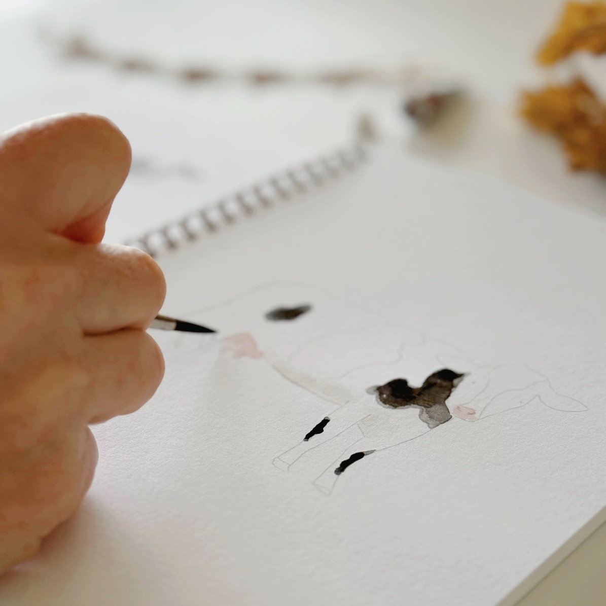 EMILY LEX STUDIO - WATERCOLOUR WORKBOOK | FARM