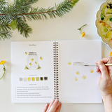 EMILY LEX STUDIO - WATERCOLOUR WORKBOOK | CAMPING