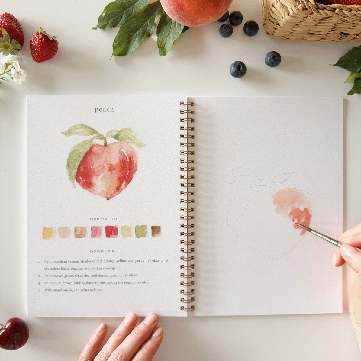 EMILY LEX STUDIO - WATERCOLOUR WORKBOOK | FRUIT