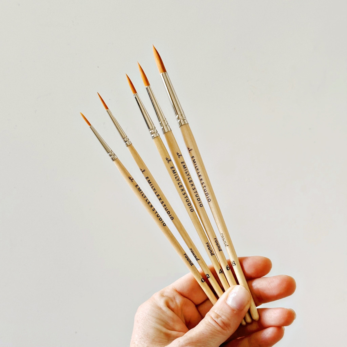 EMILY LEX STUDIO - WATERCOLOUR PAINTBRUSH SET OF 5