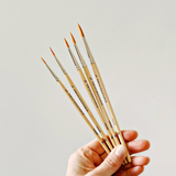 EMILY LEX STUDIO - WATERCOLOUR PAINTBRUSH SET OF 5