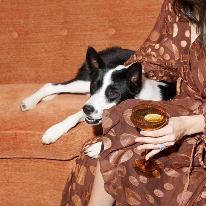 HERE'S HOW - THE LOU COUPE GLASS | SET OF 2 | AMBER