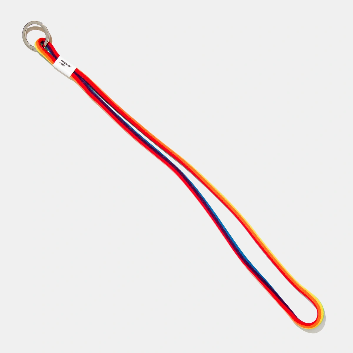 PANTONE - PRIDE KEY CHAIN | LONG