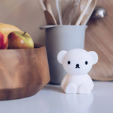 MIFFY - BORIS BUNDLE OF LIGHT
