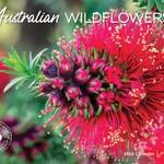 ARTIQUE - 2026 WALL CALENDAR | AUSTRALIAN WILDFLOWERS