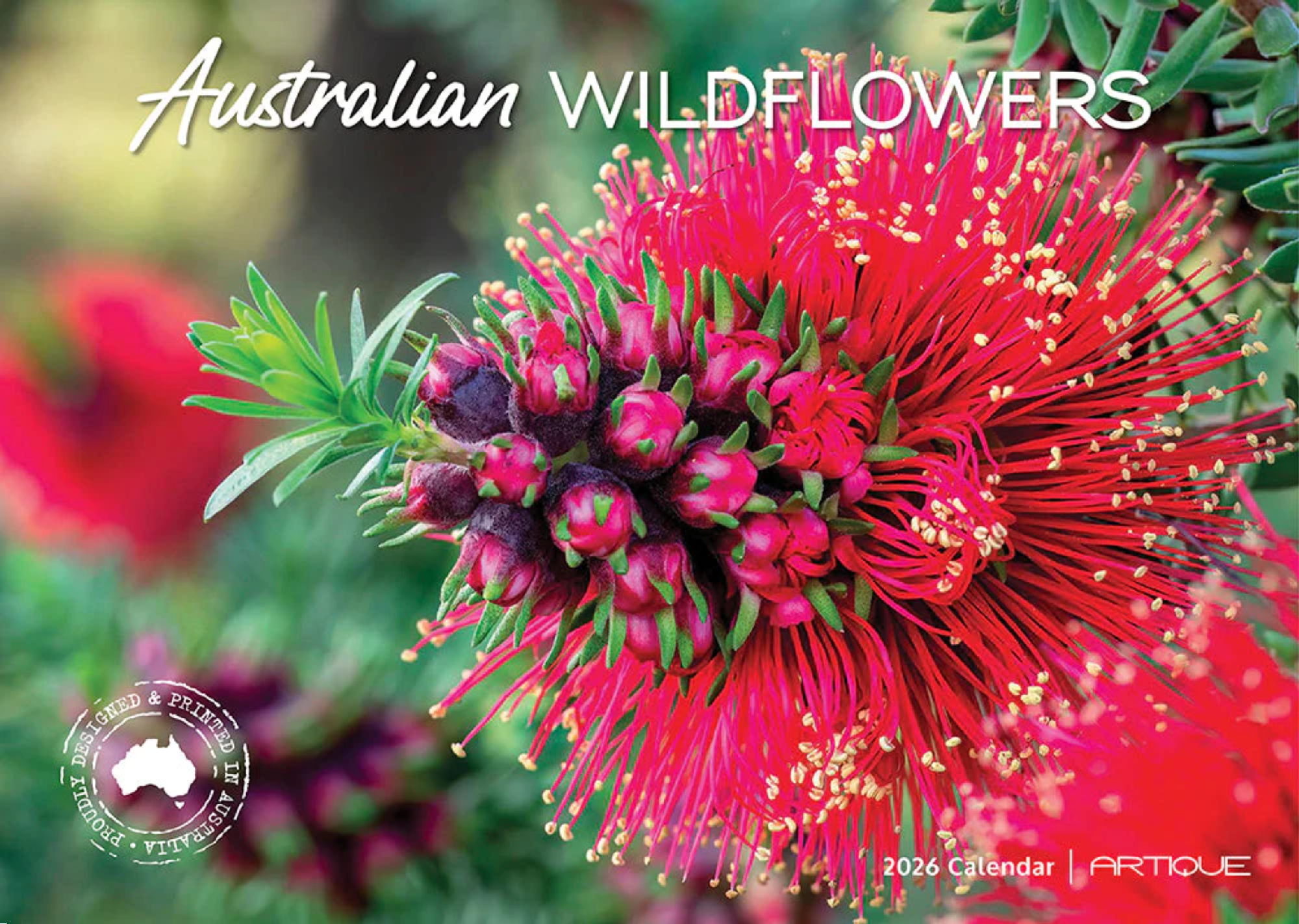 ARTIQUE - 2026 WALL CALENDAR | AUSTRALIAN WILDFLOWERS