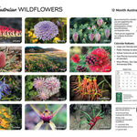 ARTIQUE - 2026 WALL CALENDAR | AUSTRALIAN WILDFLOWERS