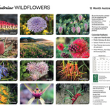 ARTIQUE - 2026 WALL CALENDAR | AUSTRALIAN WILDFLOWERS