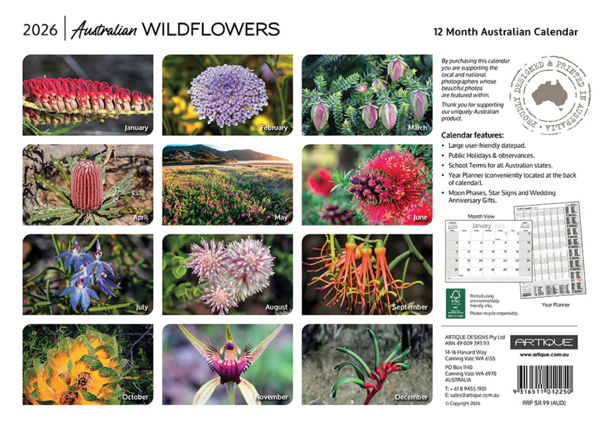 ARTIQUE - 2026 WALL CALENDAR | AUSTRALIAN WILDFLOWERS