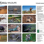 ARTIQUE - 2025 WALL CALENDAR | AUSTRALIAN WILDLIFE