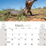 ARTIQUE - 2025 WALL CALENDAR | AUSTRALIAN WILDLIFE