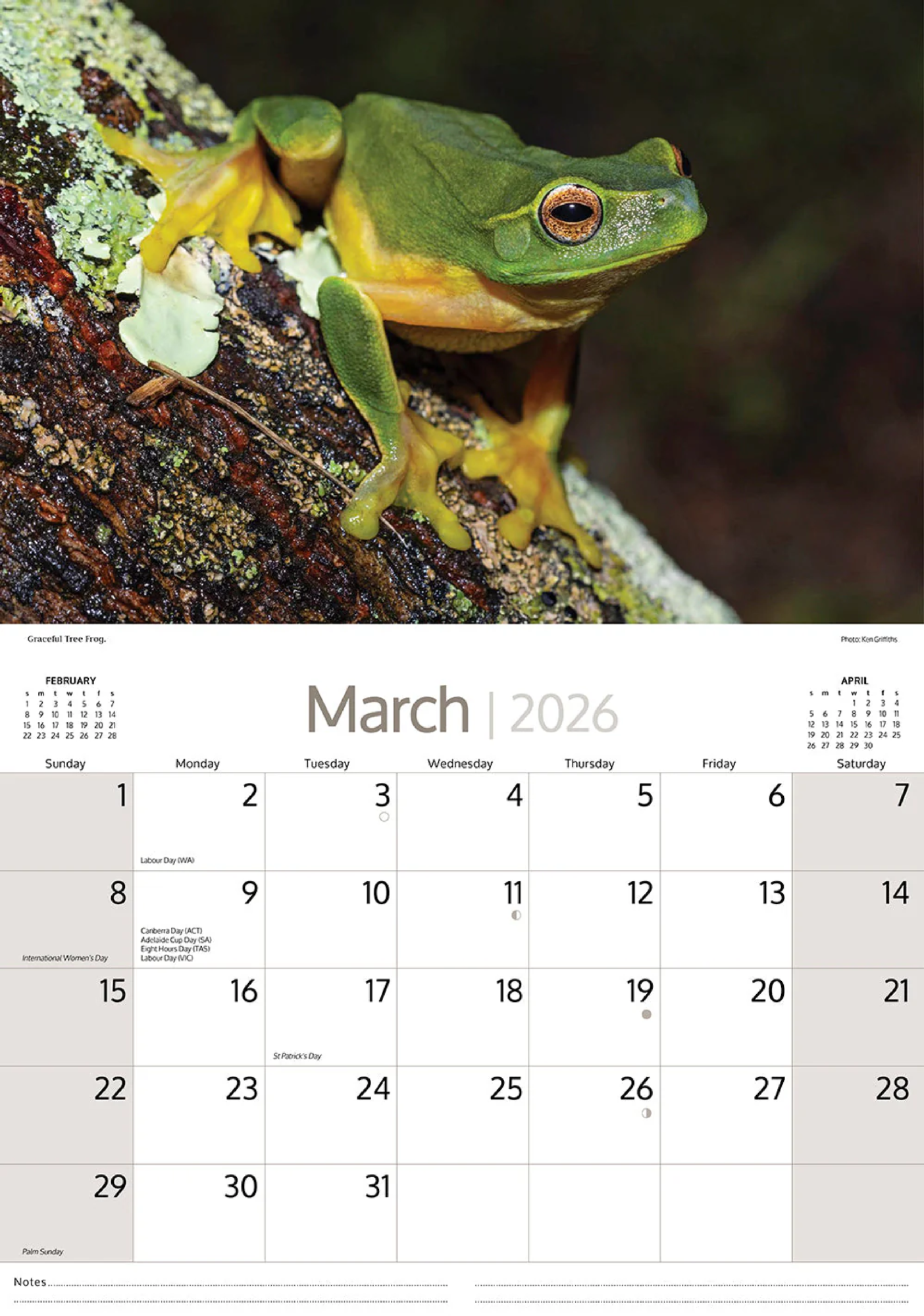ARTIQUE - 2026 WALL CALENDAR | AUSTRALIAN WILDLIFE