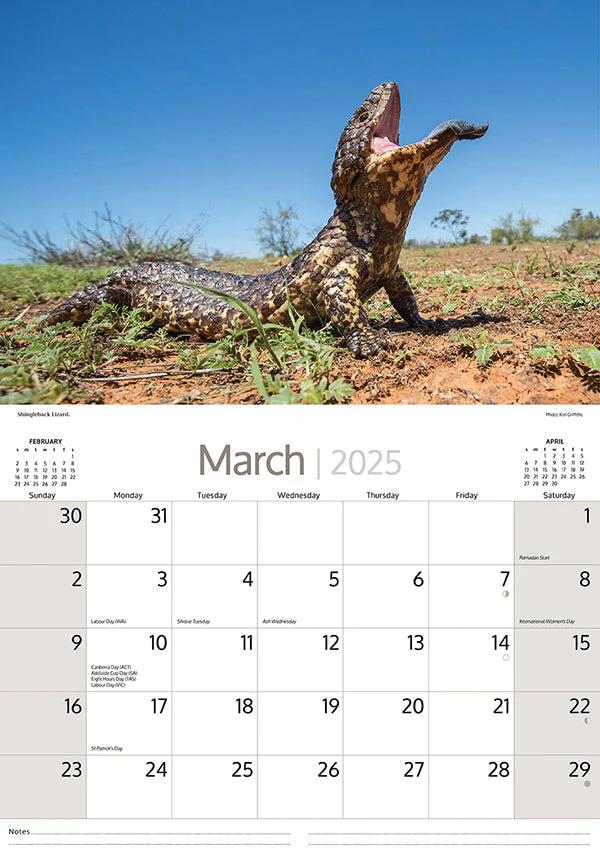 ARTIQUE - 2025 WALL CALENDAR | AUSTRALIAN WILDLIFE