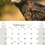 ARTIQUE - 2026 WALL CALENDAR | AUSTRALIAN BIRDS