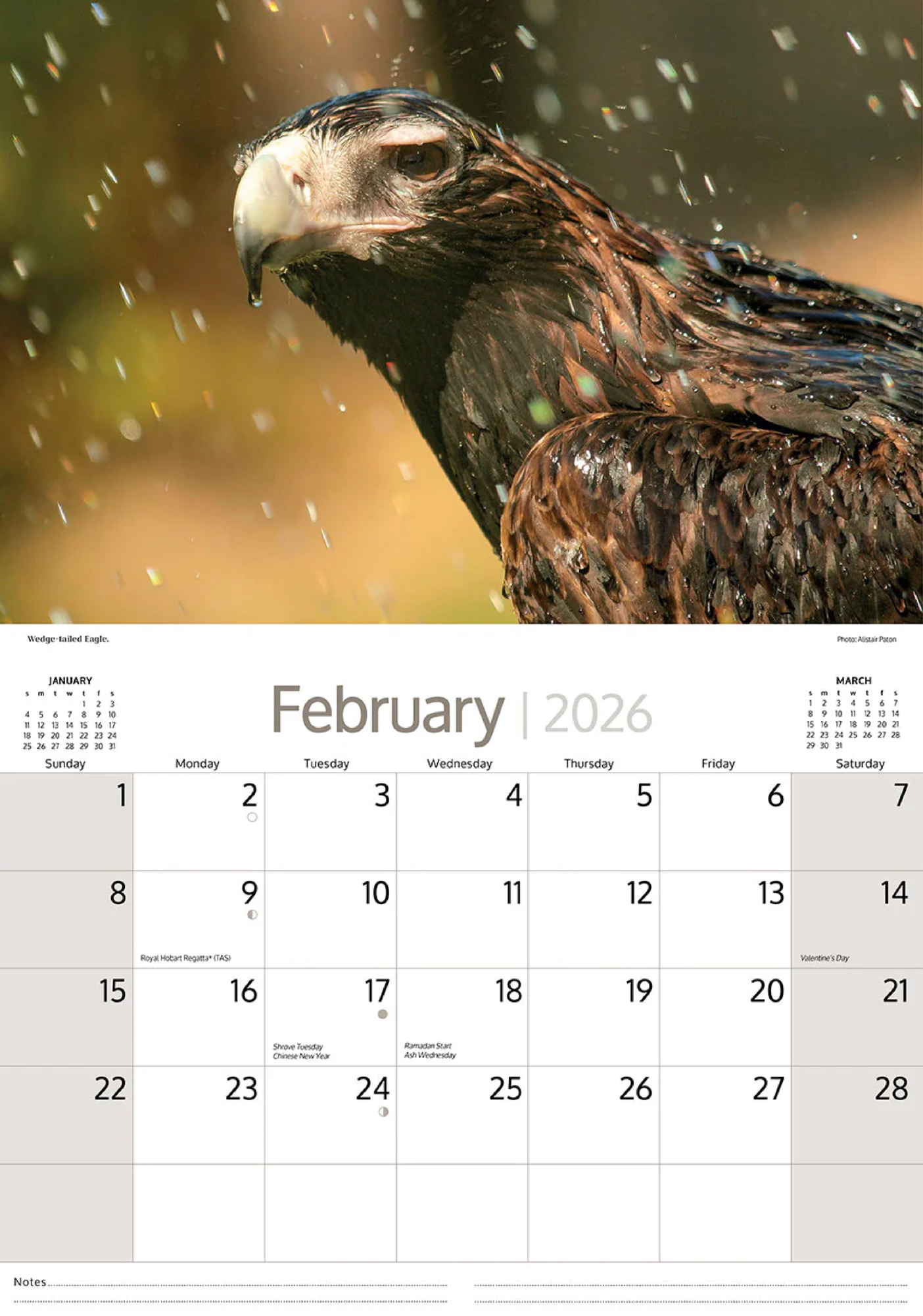 ARTIQUE - 2026 WALL CALENDAR | AUSTRALIAN BIRDS