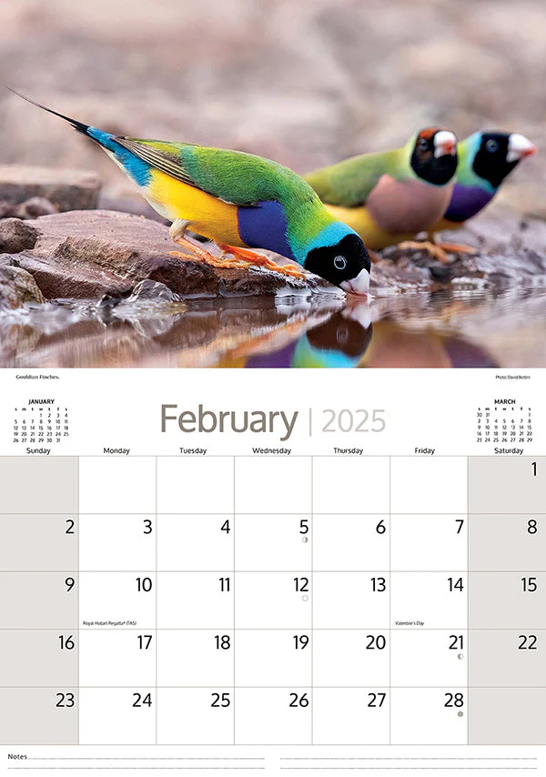 ARTIQUE - 2025 WALL CALENDAR | AUSTRALIAN BIRDS