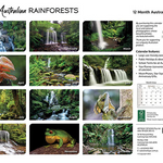 ARTIQUE - 2025 WALL CALENDAR | AUSTRALIAN RAINFORESTS