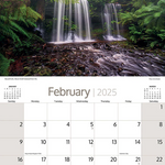 ARTIQUE - 2025 WALL CALENDAR | AUSTRALIAN RAINFORESTS