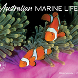 ARTIQUE - 2026 WALL CALENDAR | AUSTRALIAN MARINE LIFE