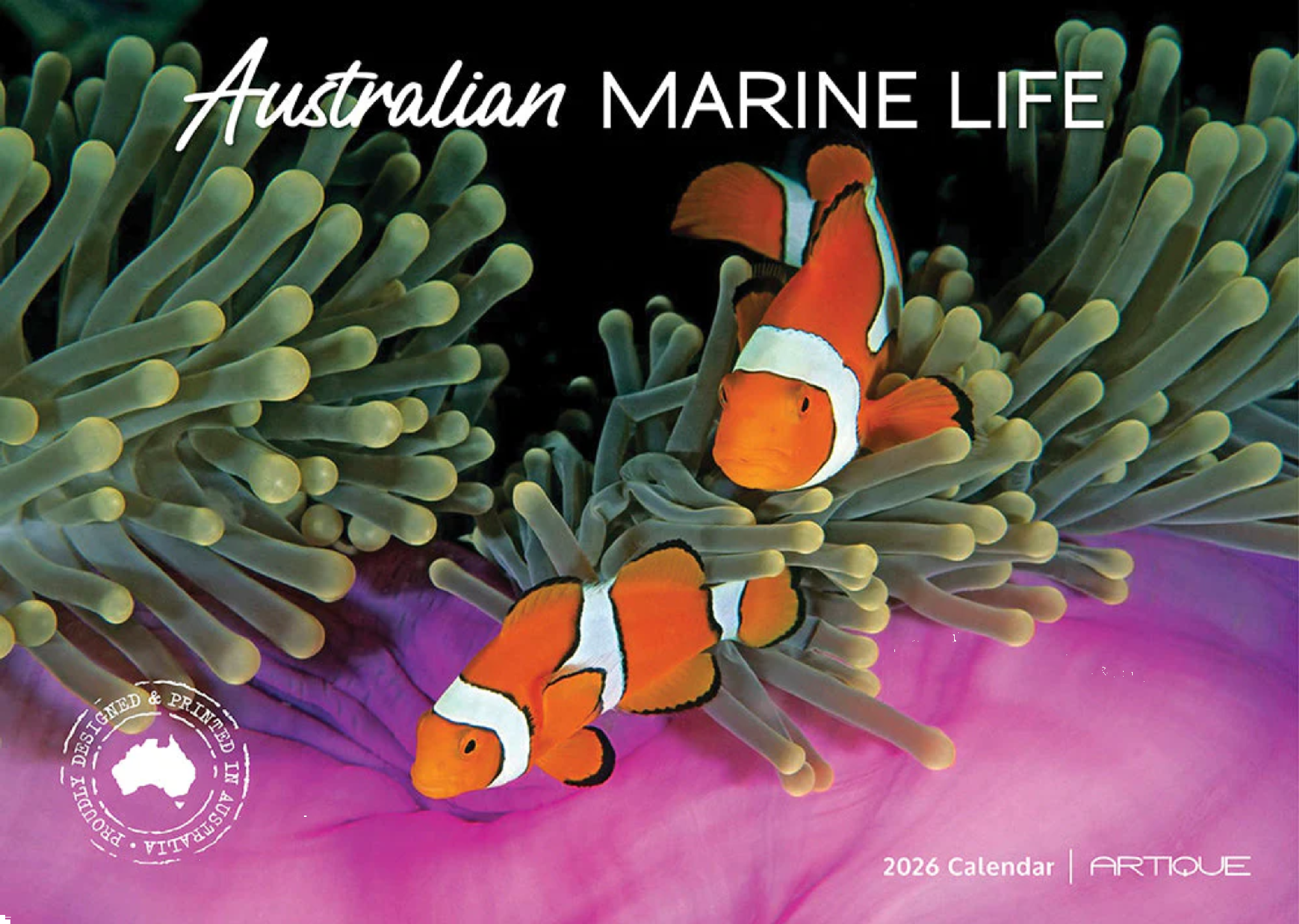 ARTIQUE - 2026 WALL CALENDAR | AUSTRALIAN MARINE LIFE